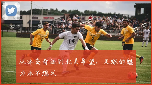 从冰岛奇迹到北美希望，足球的魅力永不熄灭